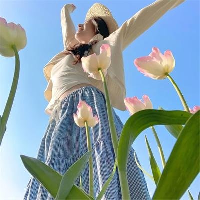 夏威夷特勤组第二季