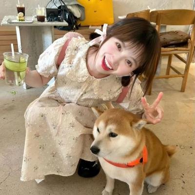 来自天国的情书